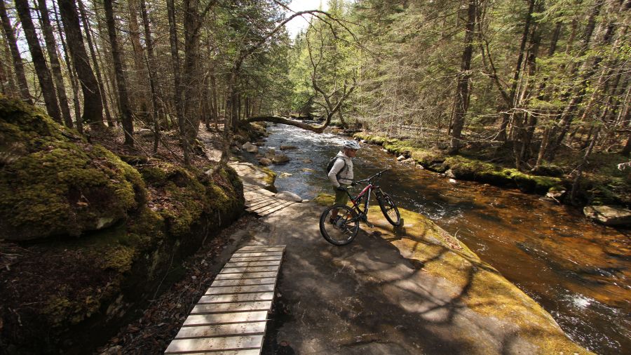 Anatomie d’un sentier de vélo de montagne : la Neilson