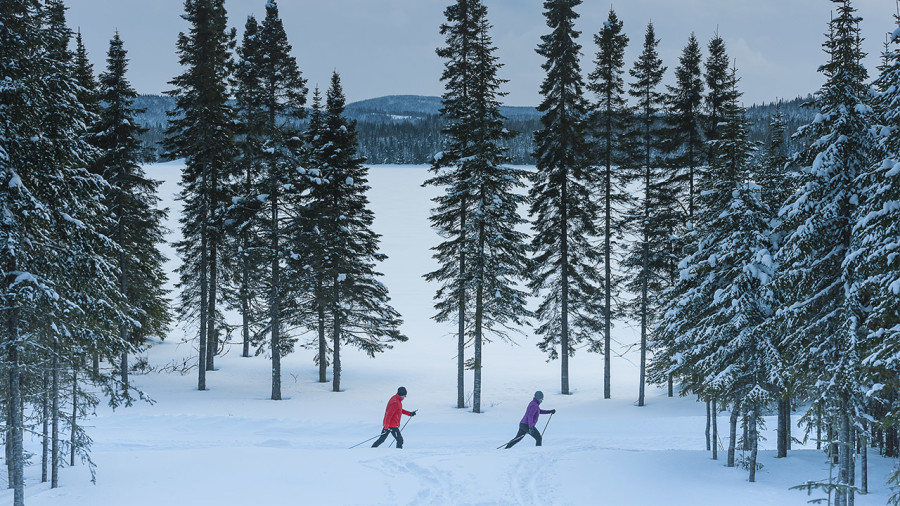 Ce qui sera permis (ou non) dans les parcs de la Sépaq cet hiver