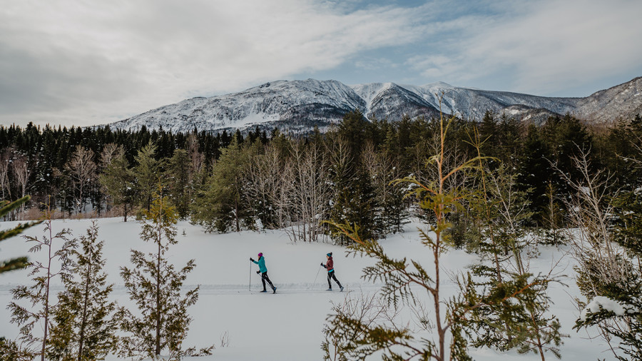 Les 7 meilleurs sentiers de ski de fond en Gaspésie