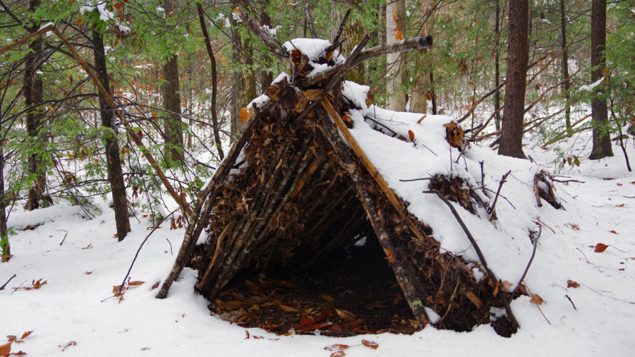 Quel est le meilleur type d'abri en cas de survie en forêt ?