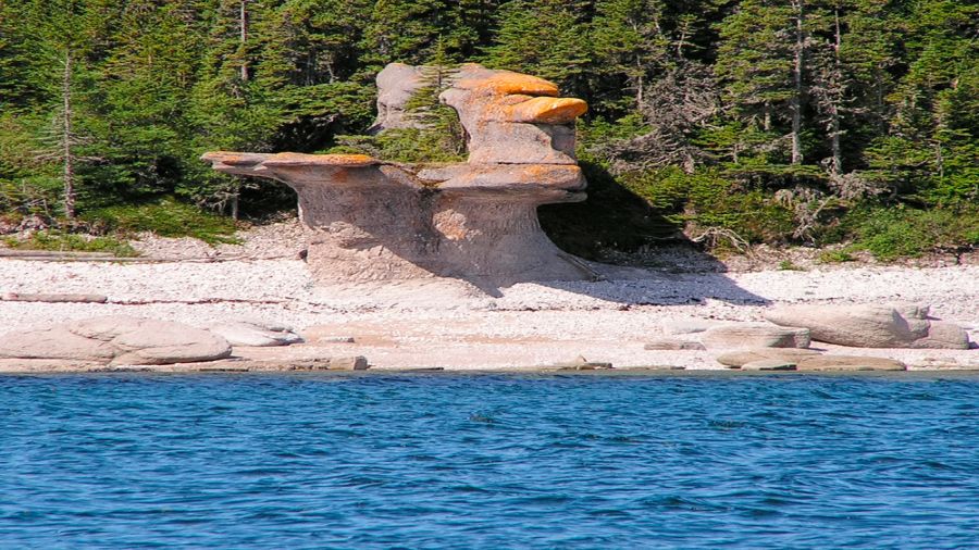 Kayak de mer : Naviguer en solitaire