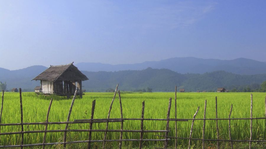 Laos : Vivre à un kilomètre à l’heure