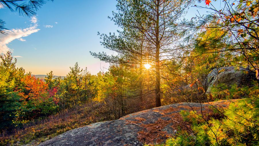 Laurentides | Le Grand Lodge