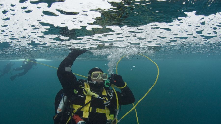 Plongée sous la glace