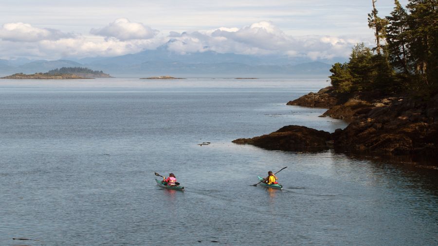 Kayak de mer : Naviguer parmi les baleines