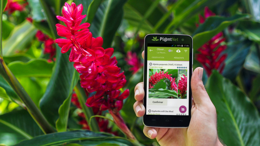 Plantes, empreintes et fèces : 5 applis pour savoir qui est qui