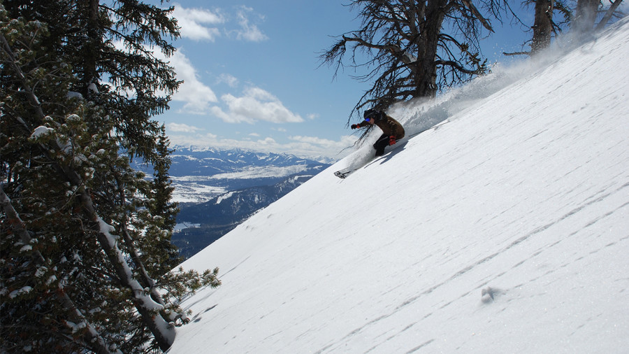 5 conseils pour skier dans la poudreuse