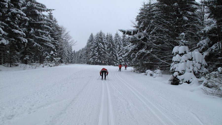  Centre de ski de fond Le Norvégien