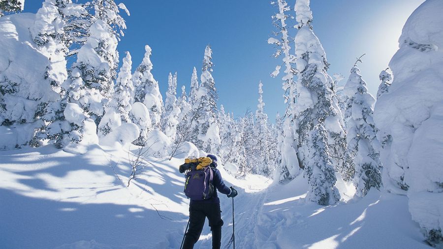 Parc national des Monts-Valin : haut fond