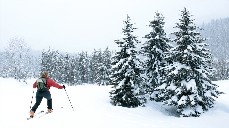 Ski de fond : Piste la TransTerrebonne