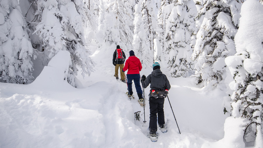L'hiver sera froid et enneigé au Québec