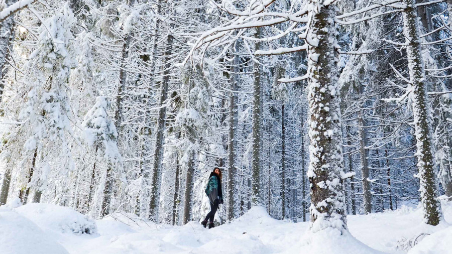 Les 8 meilleures bottes d'hiver pour femmes 