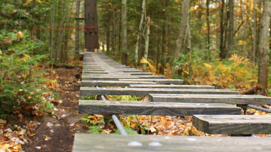 Parc du Domaine Vert : Prenez de la hauteur 