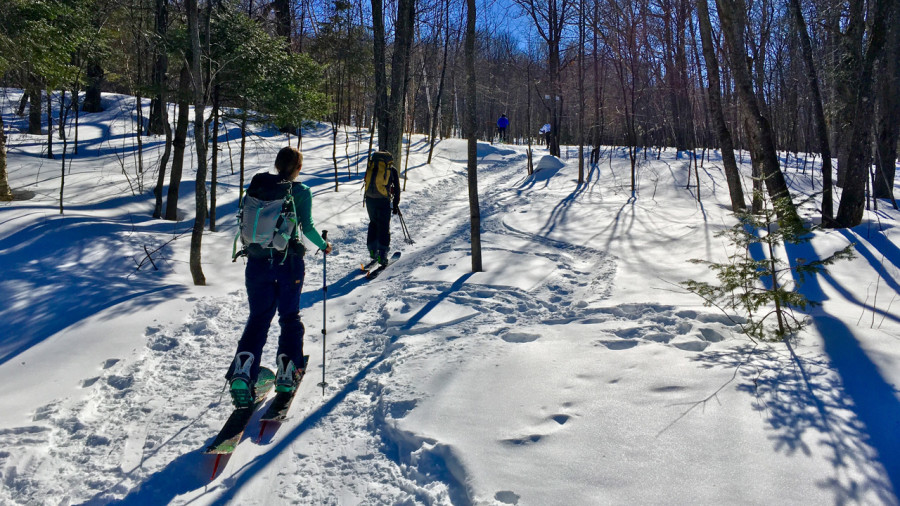 Mont Alta : retour aux sources du ski