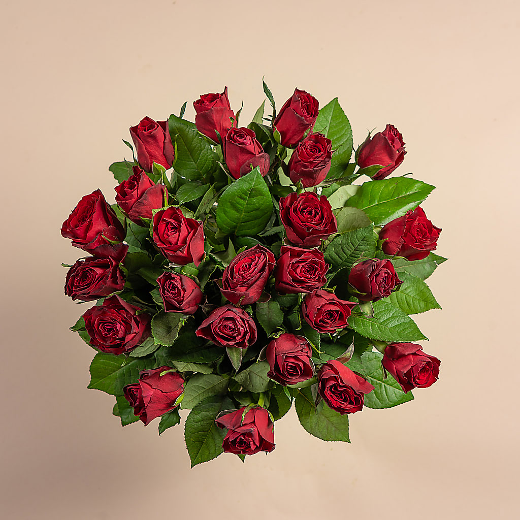 Two Dozen Red Roses