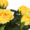 Yellow Rose Duo