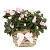 Pink Azalea Basket