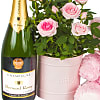 Baby Girl Rose Gift with Champagne