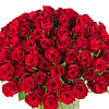 100 Red Roses