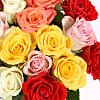 20 Mixed Roses