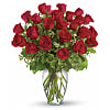 Two Dozen Long Stemmed Red Roses