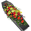 Vibrant Coffin Spray