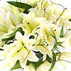 White Lily Bouquet