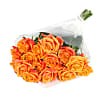 20 Luxury Orange Roses - Deluxe