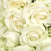 20 Luxury White Roses - Deluxe