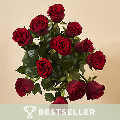 A Dozen Red Roses - Flowers