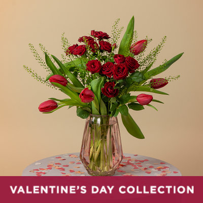 Tulip Passion - Flowers