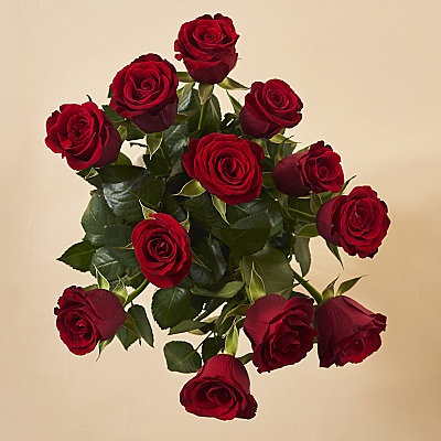 A Dozen Red Roses - Flowers