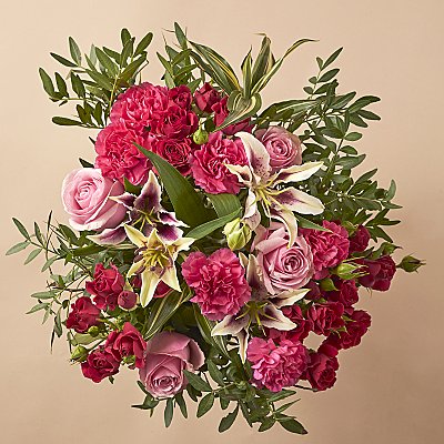 Scarlett Pimpernel - Flowers