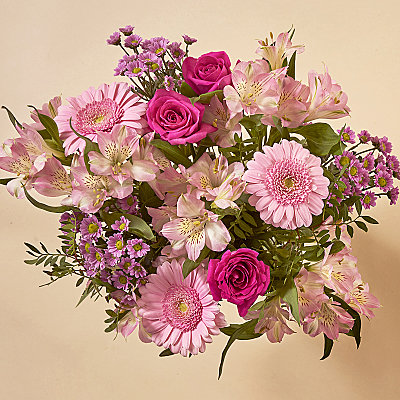 Pink Pearls - Flowers