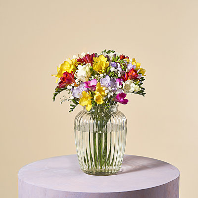 Floral Promise - Flowers