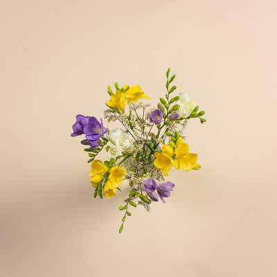 Freesia Posy - Flowers