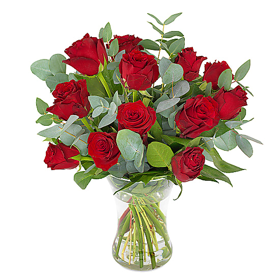 12 Red Roses delivered the same day