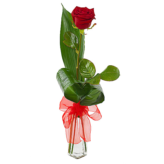Single Red Rose delivered next day