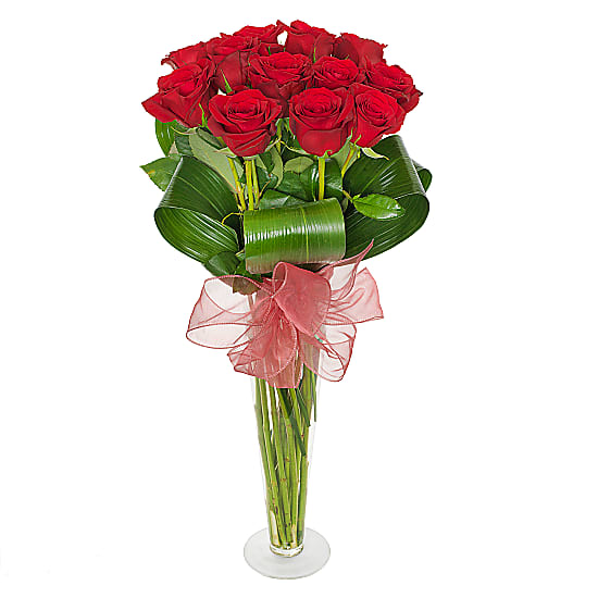 Dozen long stem roses delivered next day