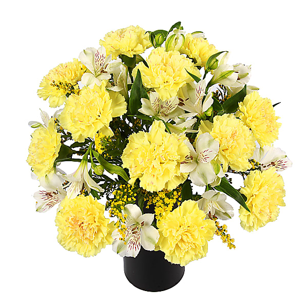 The Hypoallergenic Bouquet