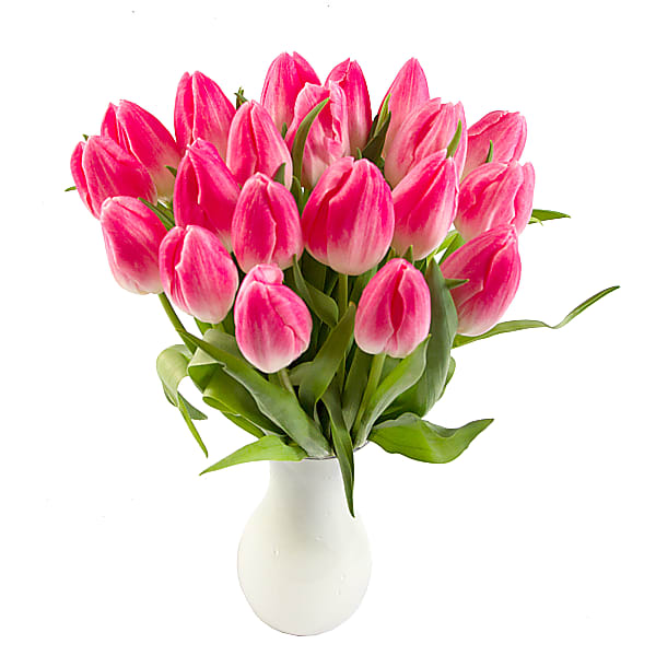 20 Pink Tulips with Vase