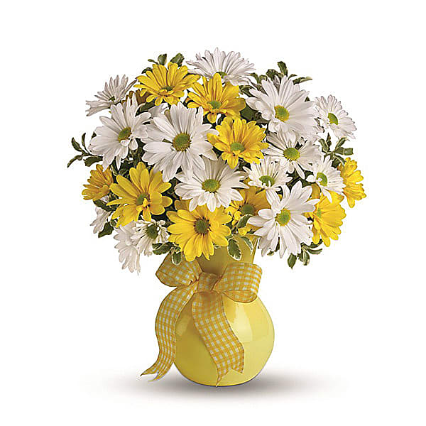 Classic Yellow and White Daisies Canada Delivery