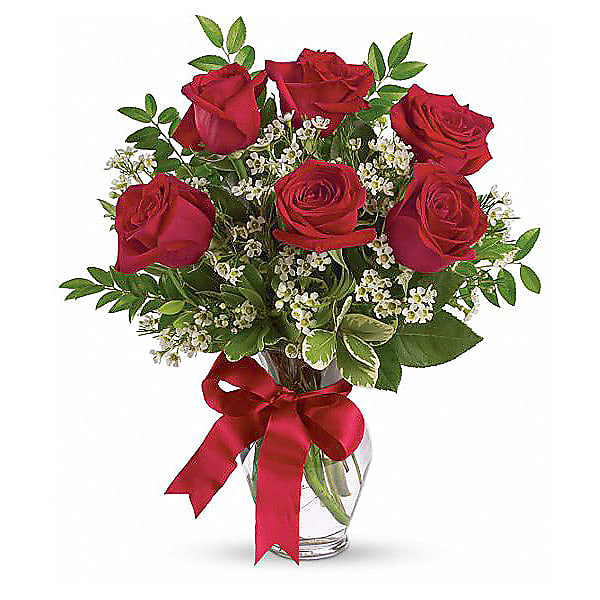 Half Dozen Long Stemmed Red Roses