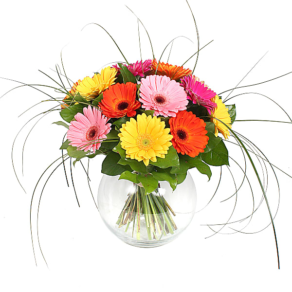 Gerbera Bouquet