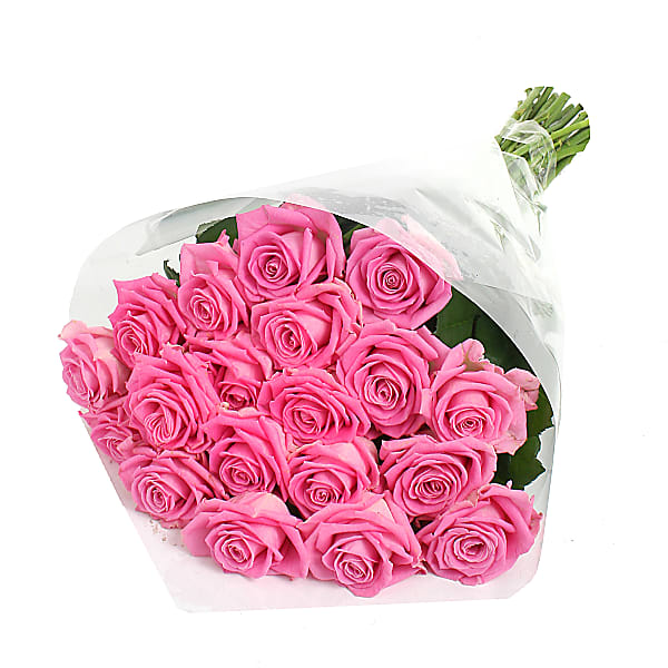 20 Luxury Pink Roses