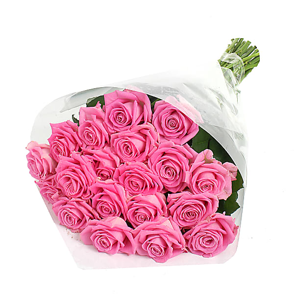 20 Luxury Pink Roses - Deluxe
