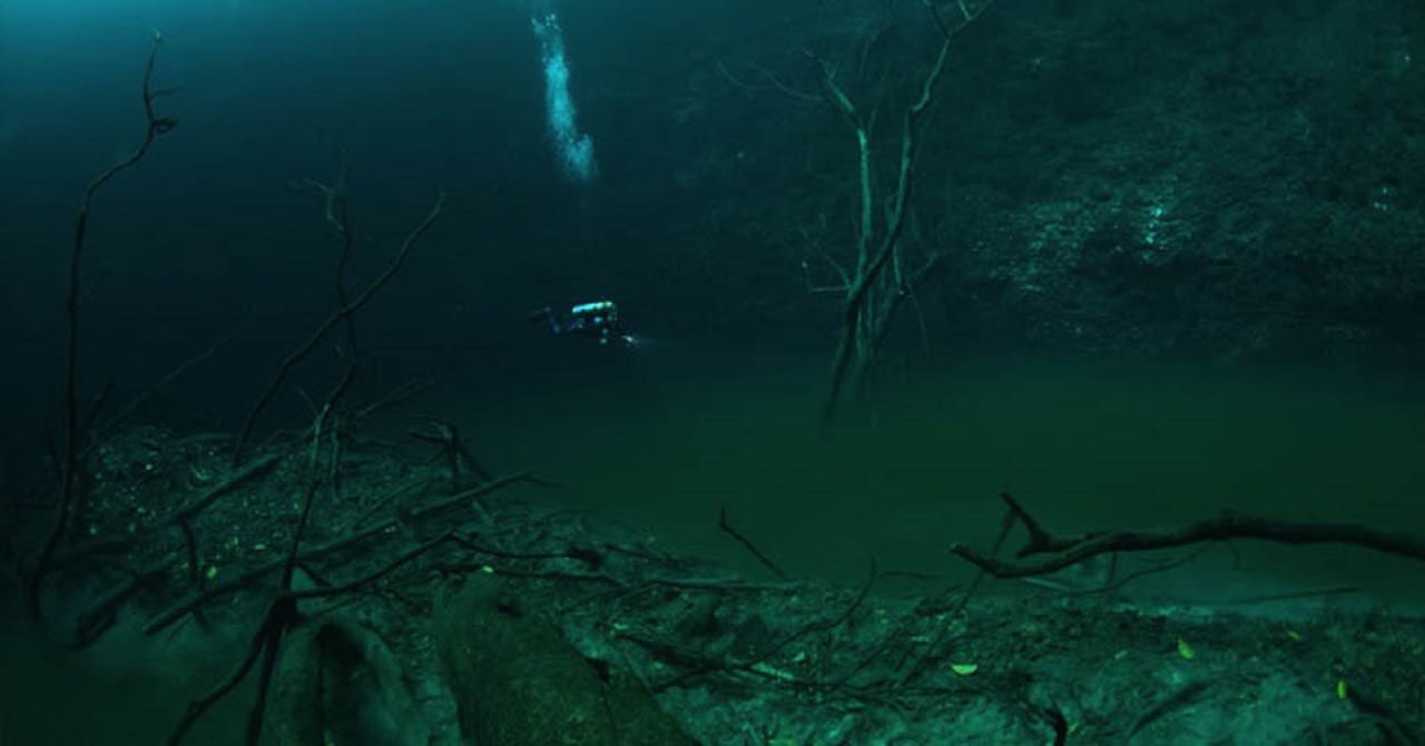 Percaya Gak Percaya, Inilah 5 Hal Aneh yang Ada dalam Laut