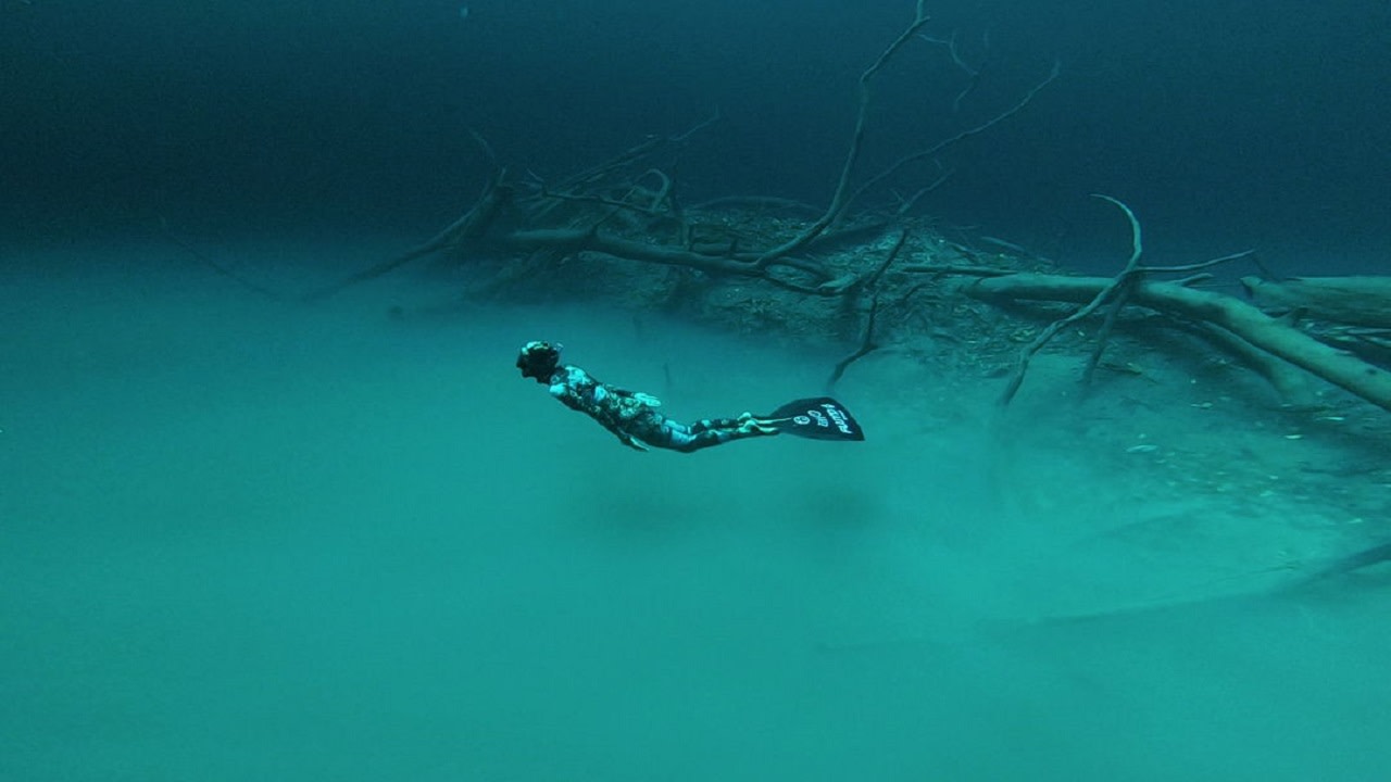 Percaya Gak Percaya, Inilah 5 Hal Aneh yang Ada dalam Laut