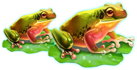 frog