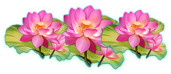 lotus